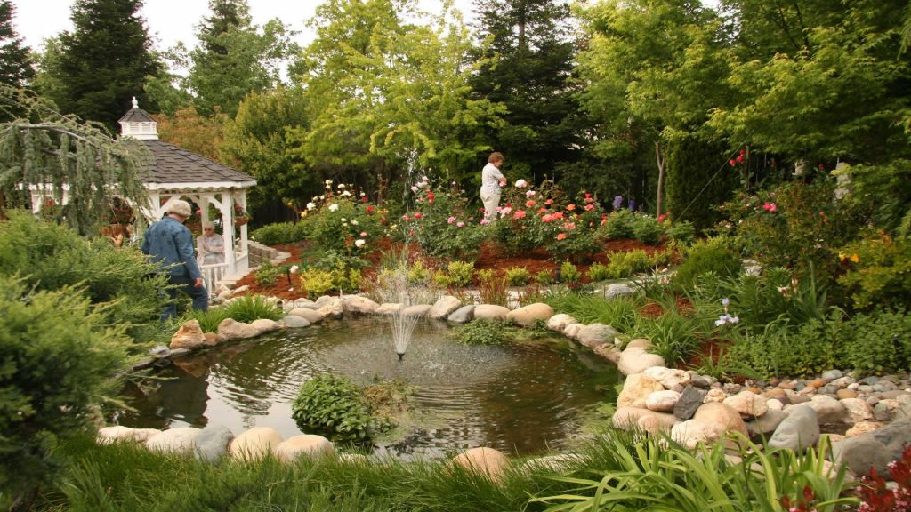 arka bahçe, ağaç, çiçek